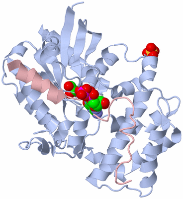 Image Biological Unit 1