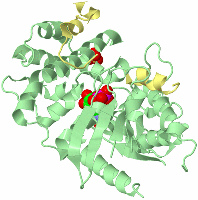 Image Biological Unit 2