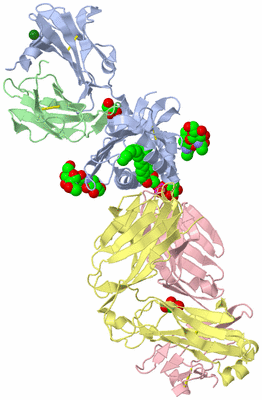 Image Asym./Biol. Unit