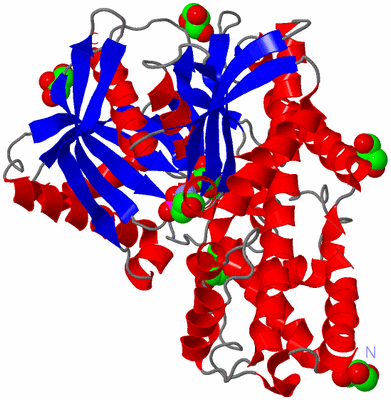 Image Asym./Biol. Unit