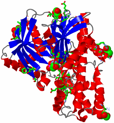 Image Asym./Biol. Unit - sites