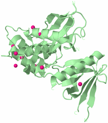 Image Biological Unit 2