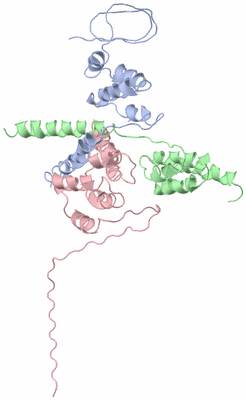 Image Biological Unit 1