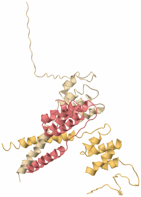 Image Biological Unit 3