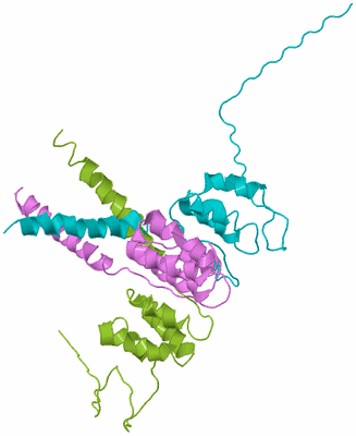 Image Biological Unit 5