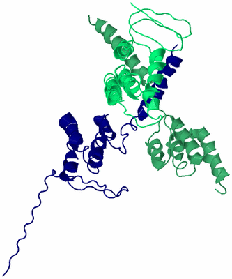 Image Biological Unit 6