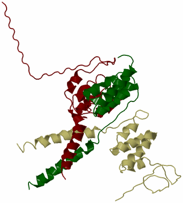 Image Biological Unit 7