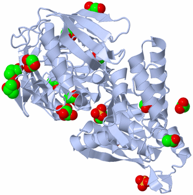 Image Biological Unit 1