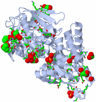 Image Biol. Unit 1 - sites