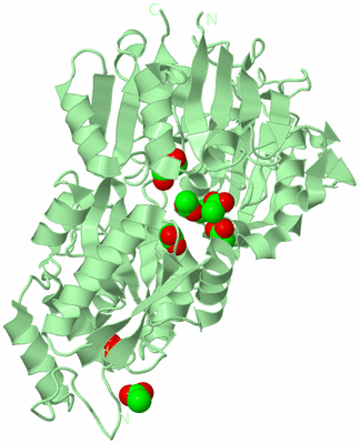 Image Biological Unit 2