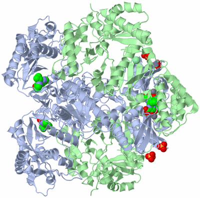 Image Biological Unit 2