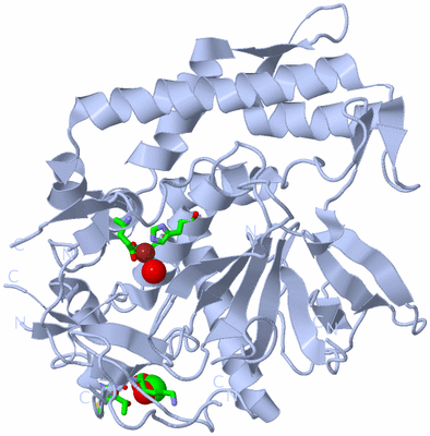 Image Biol. Unit 1 - sites