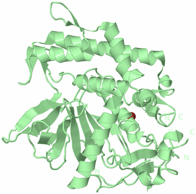 Image Biological Unit 2