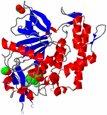 Image Asym./Biol. Unit