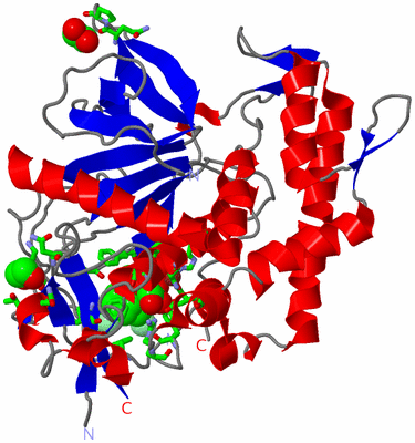 Image Asym./Biol. Unit - sites