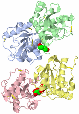 Image Asym./Biol. Unit