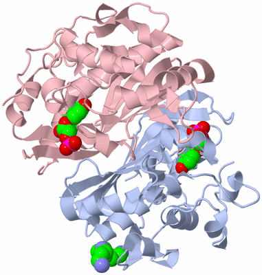 Image Biological Unit 1