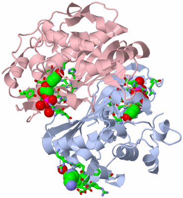 Image Biol. Unit 1 - sites