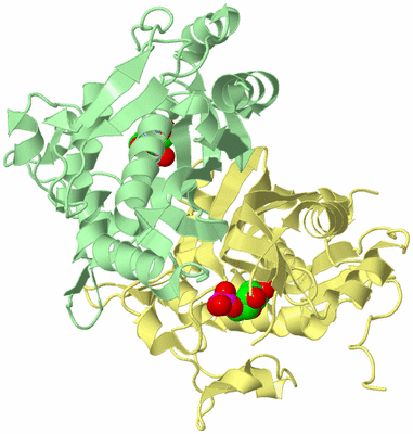 Image Biological Unit 2