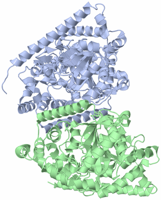 Image Asym./Biol. Unit