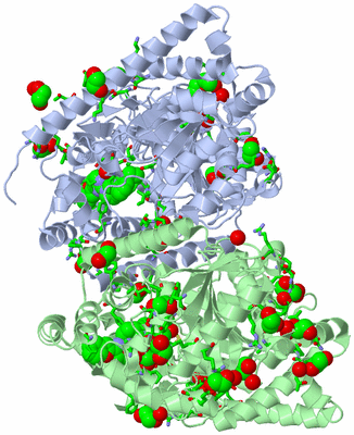 Image Asym./Biol. Unit - sites