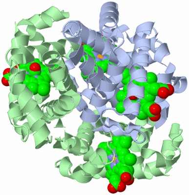 Image Biological Unit 1