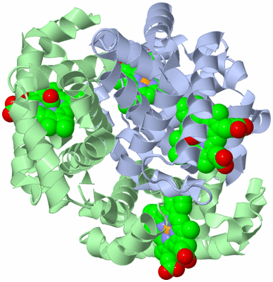 Image Biological Unit 1