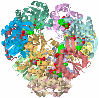 Image Asym./Biol. Unit