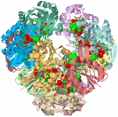 Image Asym./Biol. Unit - sites