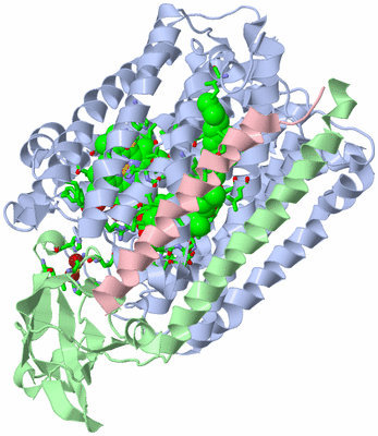 Image Asym./Biol. Unit - sites