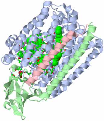 Image Asym./Biol. Unit - sites