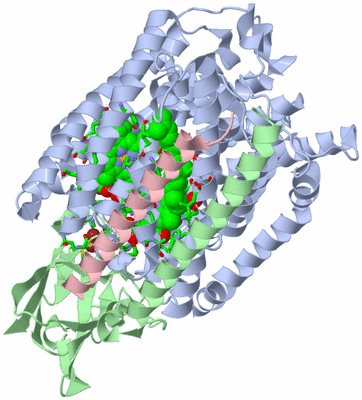 Image Asym./Biol. Unit - sites