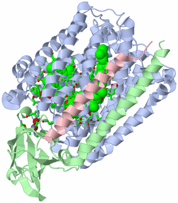 Image Asym./Biol. Unit - sites