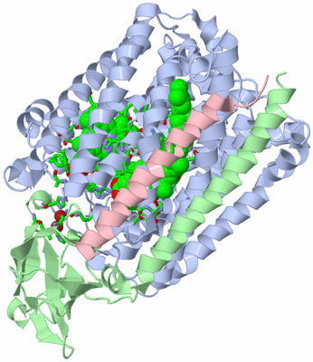 Image Asym./Biol. Unit - sites