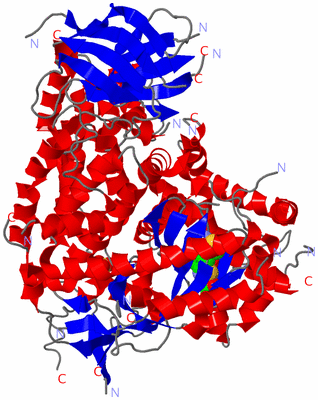 Image Asym./Biol. Unit