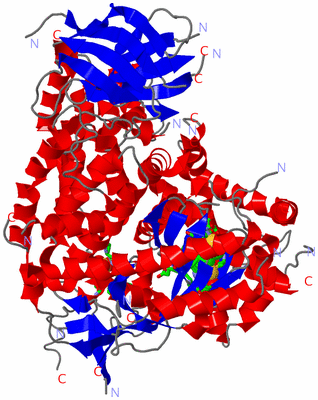 Image Asym./Biol. Unit - sites