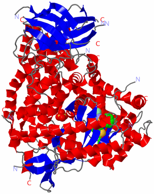 Image Asym./Biol. Unit