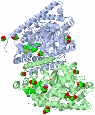 Image Asym./Biol. Unit