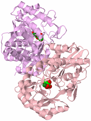 Image Biological Unit 2