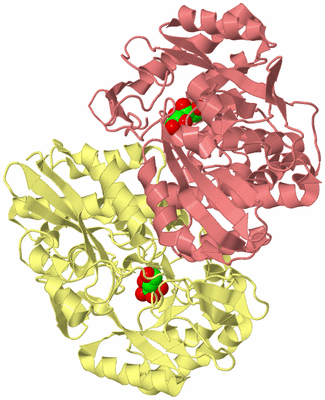 Image Biological Unit 3