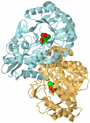 Image Biological Unit 4