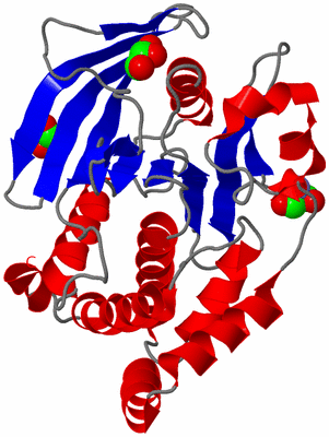 Image Asym./Biol. Unit