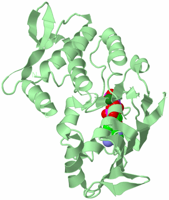 Image Biological Unit 2