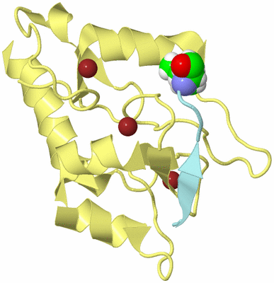 Image Biological Unit 2