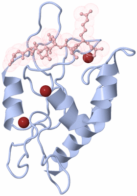 Image Biological Unit 1