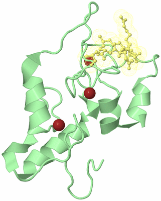 Image Biological Unit 2