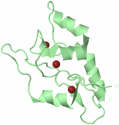 Image Biological Unit 2