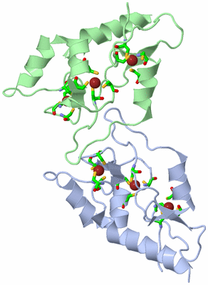 Image Asym. Unit - sites