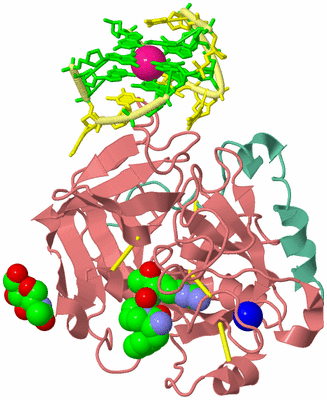 Image Asym./Biol. Unit