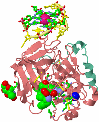 Image Asym./Biol. Unit - sites